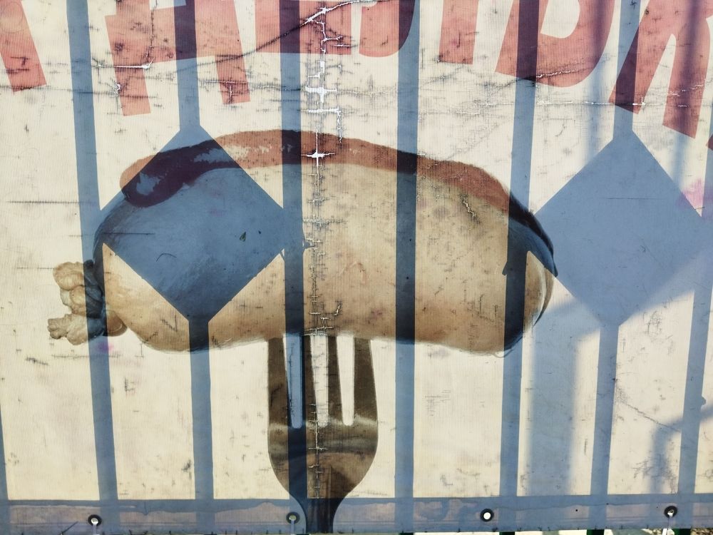 Фотография автора  OKazik