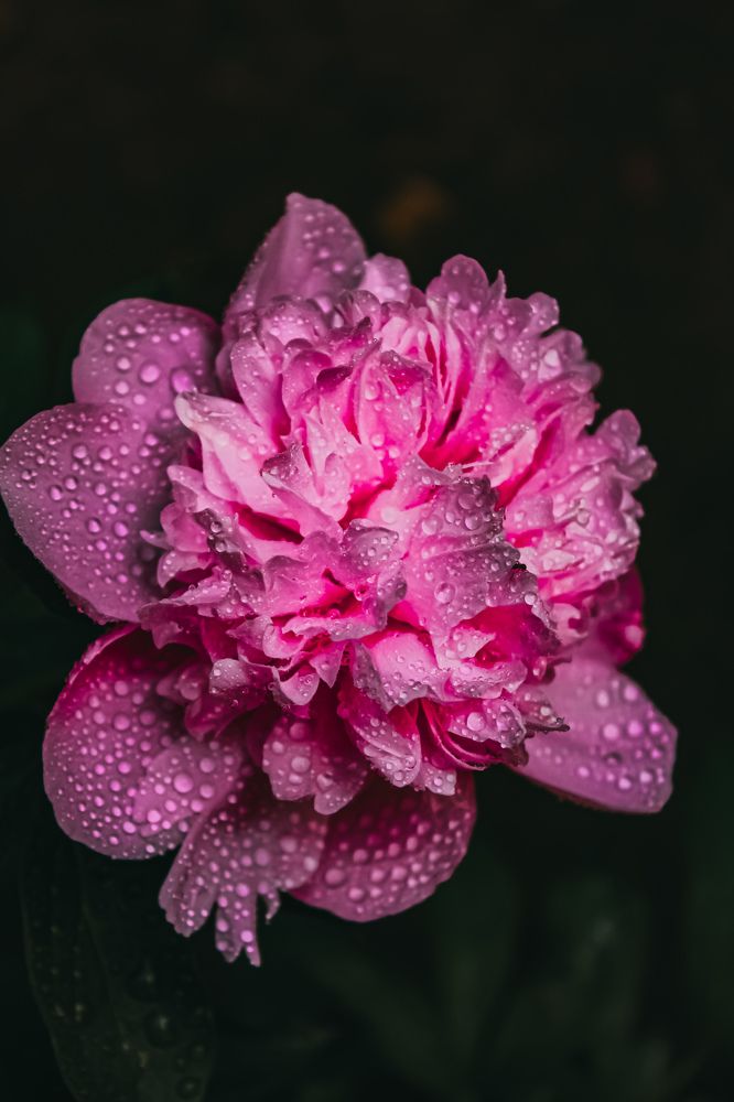 Photograph by Татьяна Слободчикова