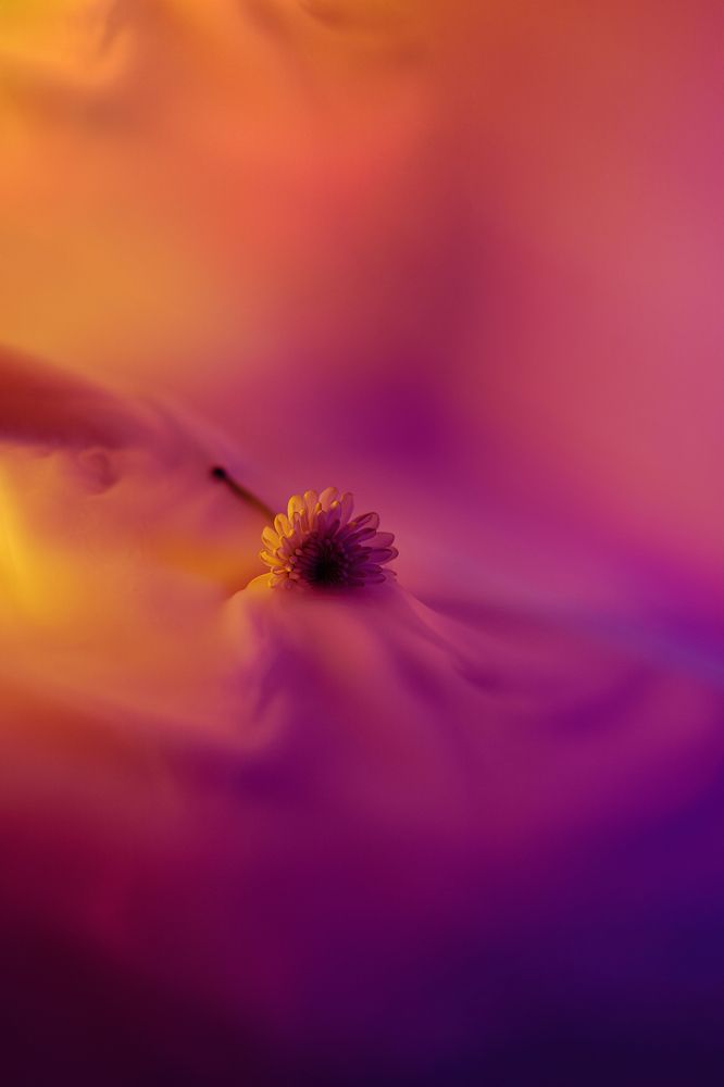 Photograph by Алёна Губинская