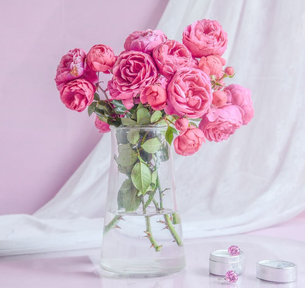 Photograph by Елена Куртеева