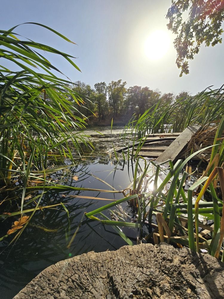 Photograph by Степан Павловский