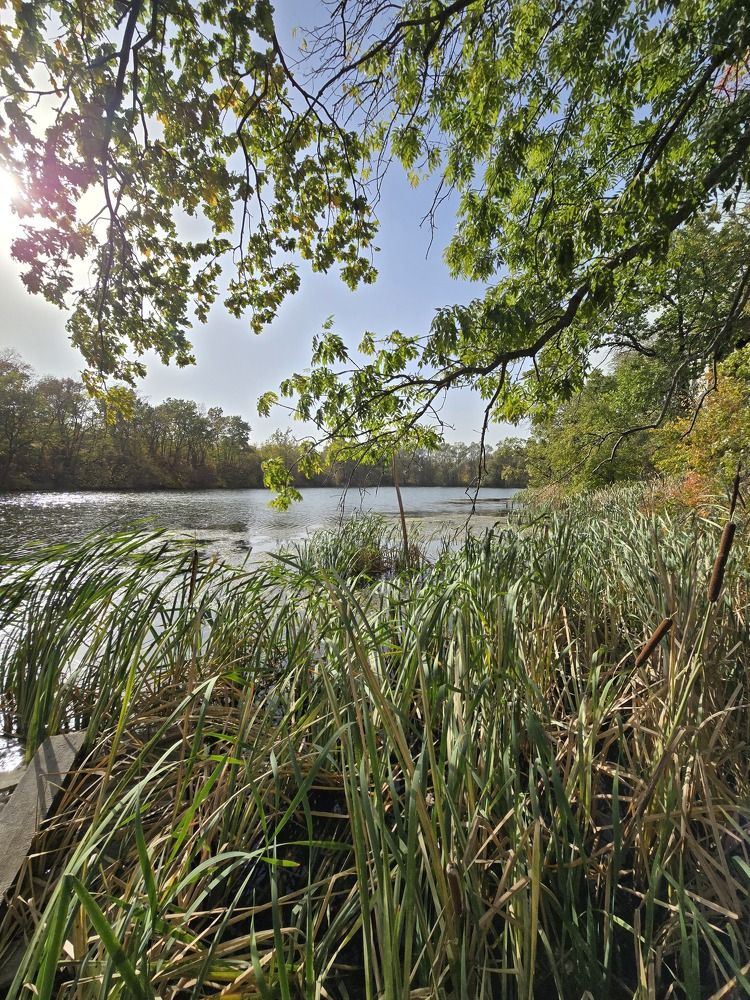 Photograph by Степан Павловский