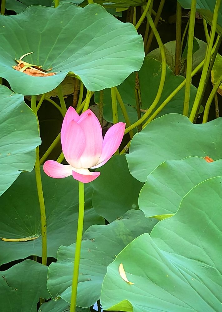 Photograph by Игорь Крыжко