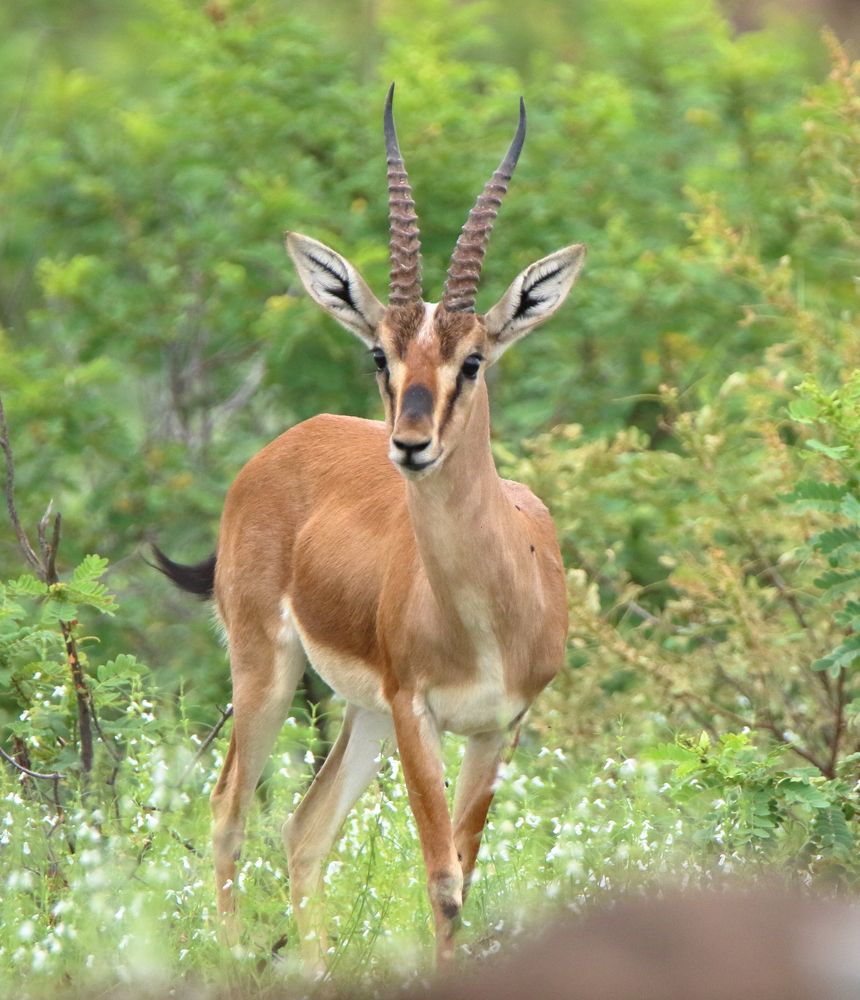 Фотография автора Chandra sekar