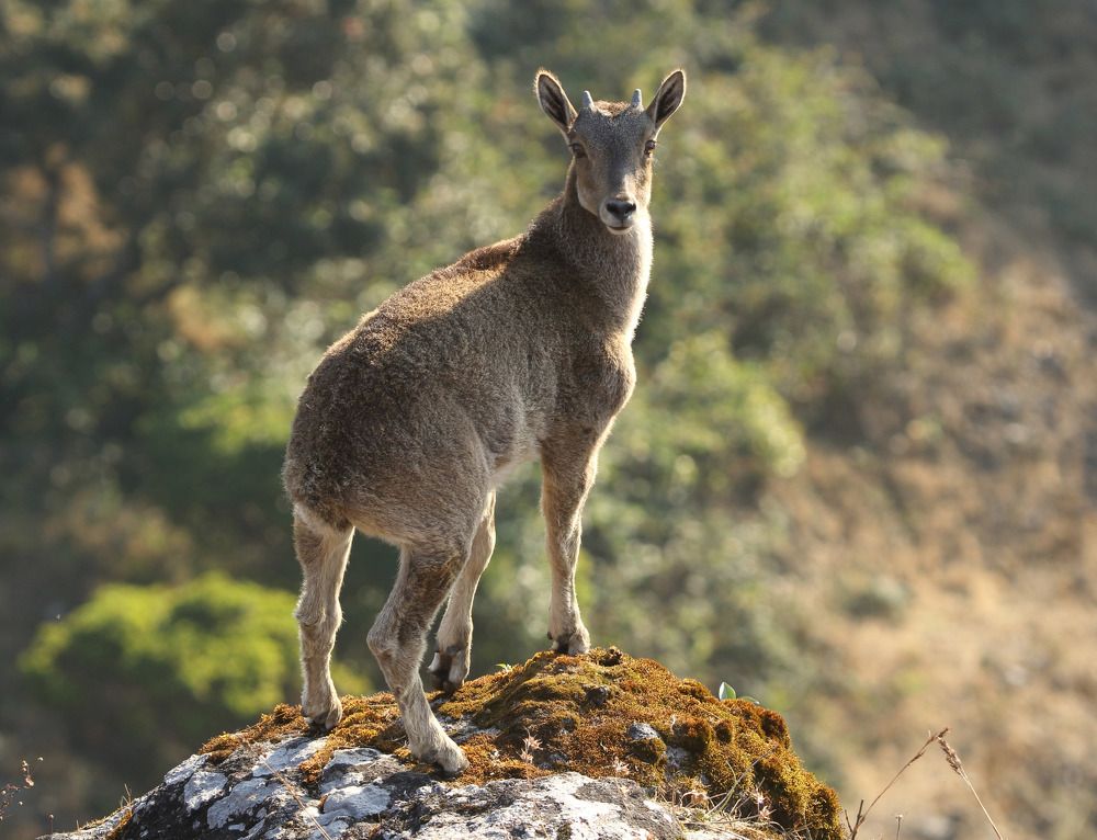 Фотография автора Chandra sekar