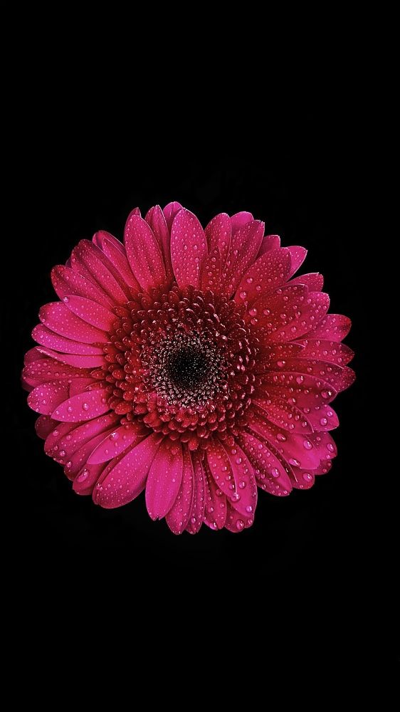 Photograph by Светлана Моисеева