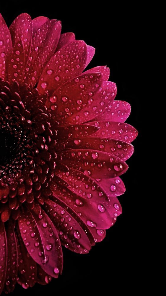 Photograph by Светлана Моисеева