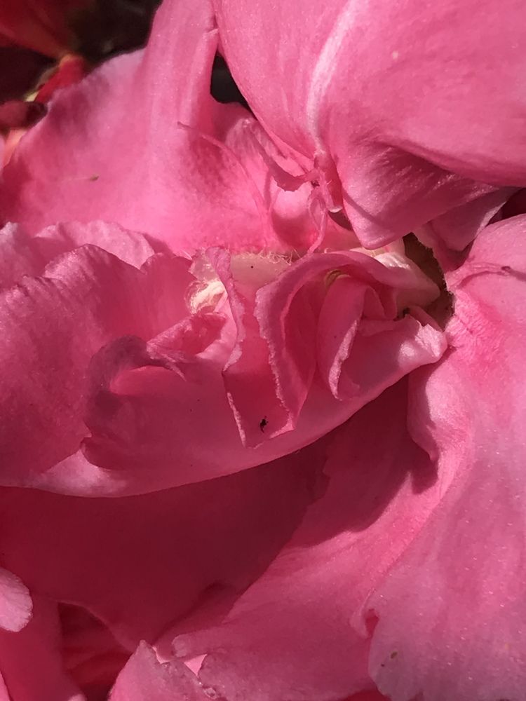 Photograph by Татьяна Гуськова