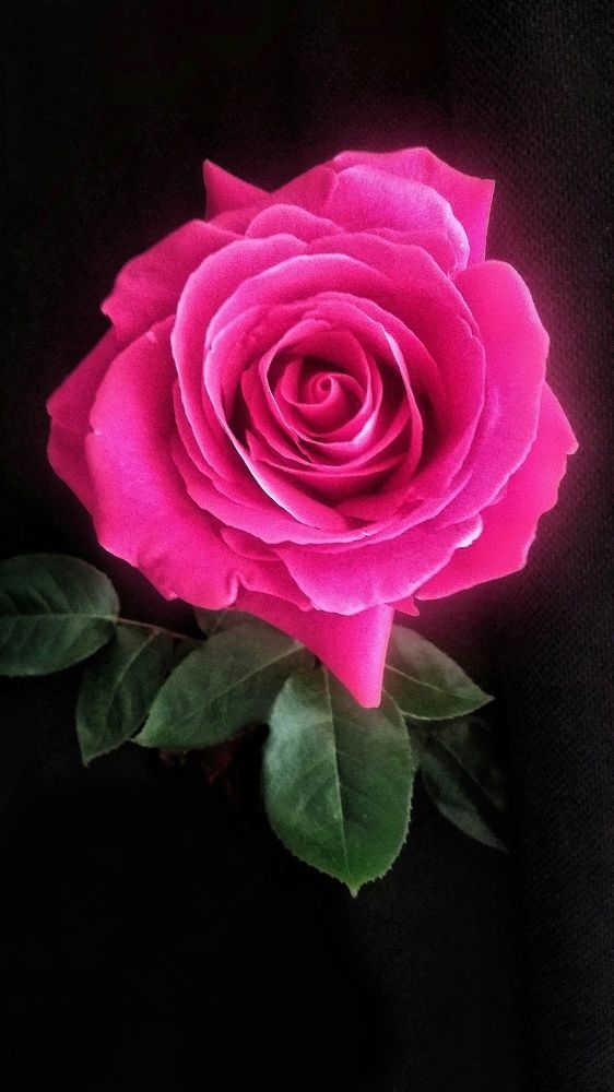 Photograph by Светлана Безъязычная