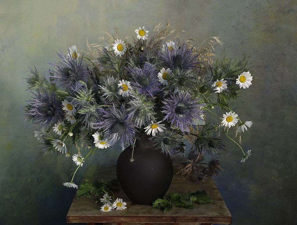 Photograph by Вера  Павлухина