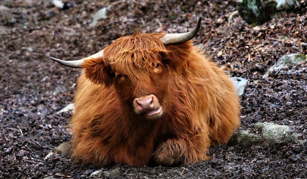 Photograph by Inese Firsova