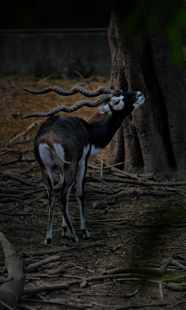 Photograph by Harsh Srivastava