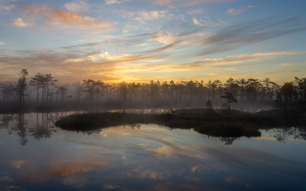 Photograph by Vera Komarova