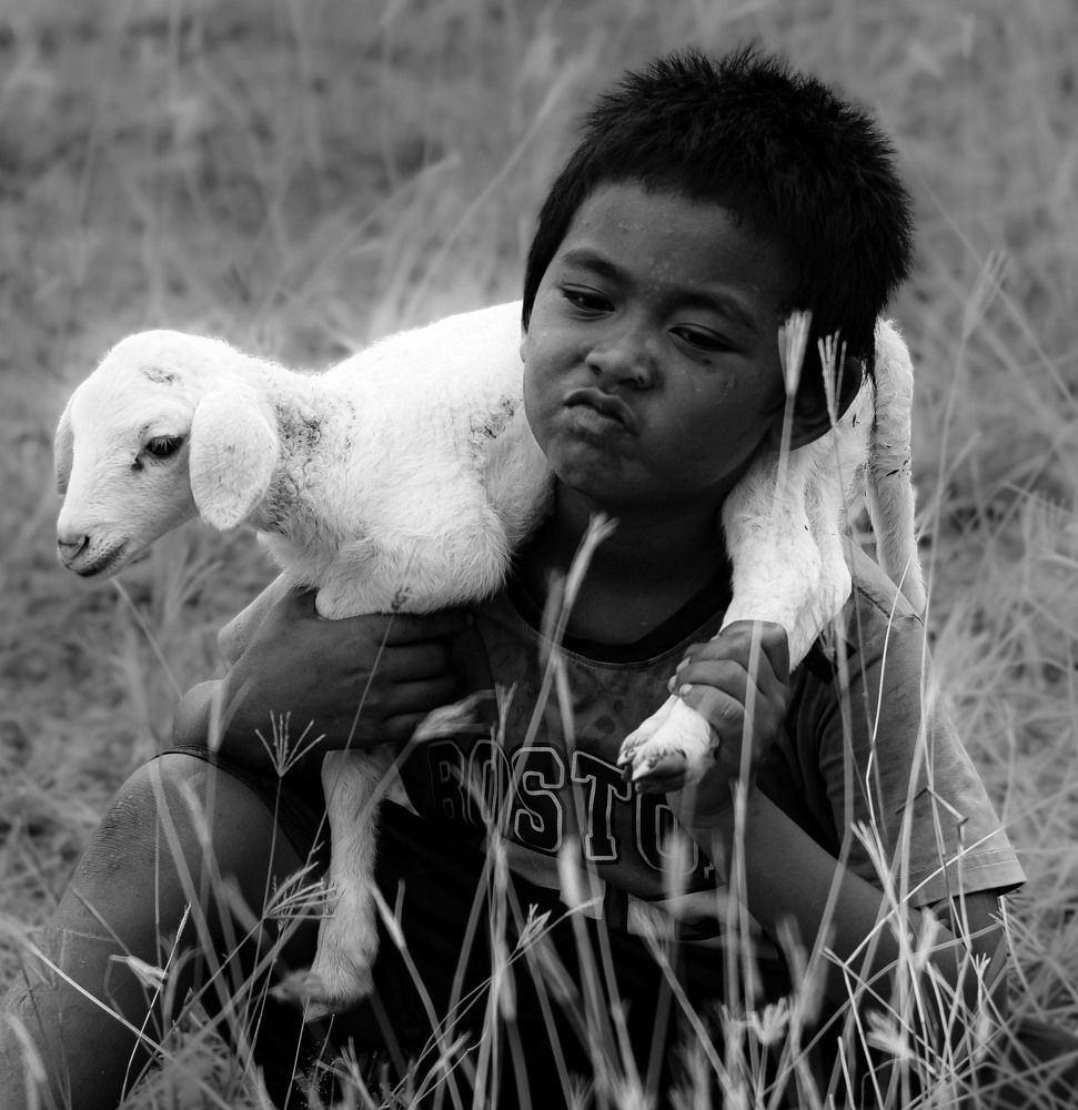 Фотография автора Quan Hung