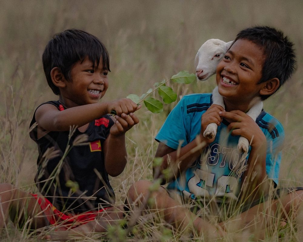 Фотография автора Quan Hung