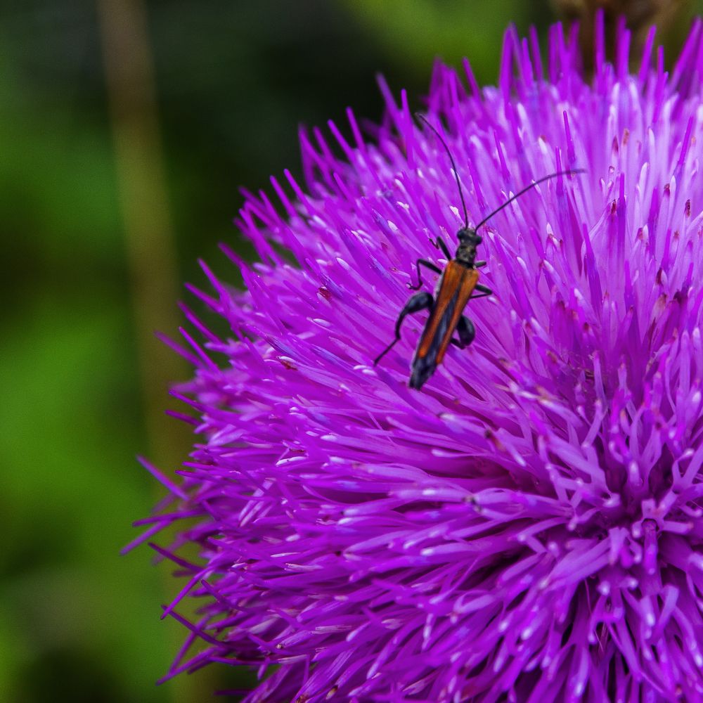 Photograph by Nikolai Barchan