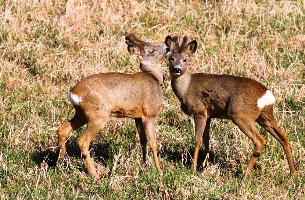 Photograph by Inese Firsova