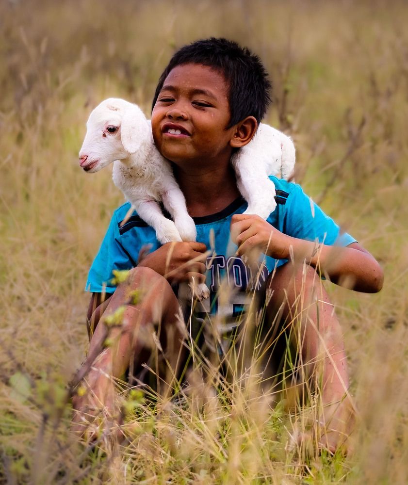 Фотография автора Quan Hung