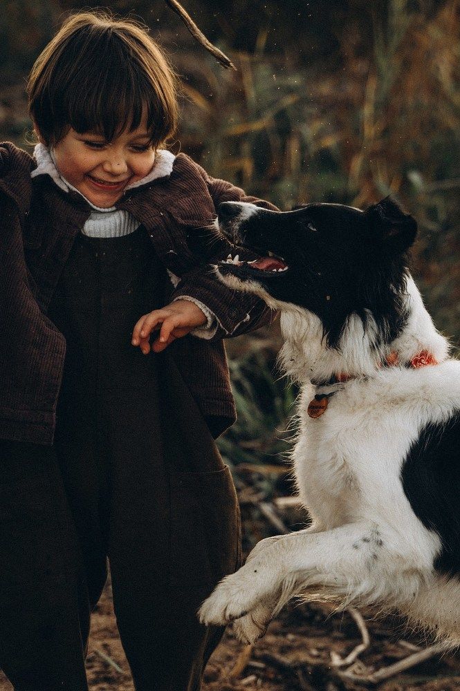 Photograph by Эльвира Жижикина