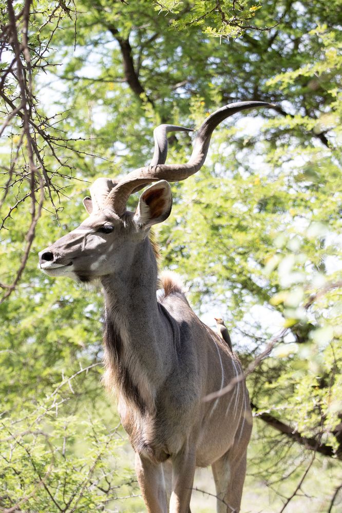 Photograph by Ken Stavrou