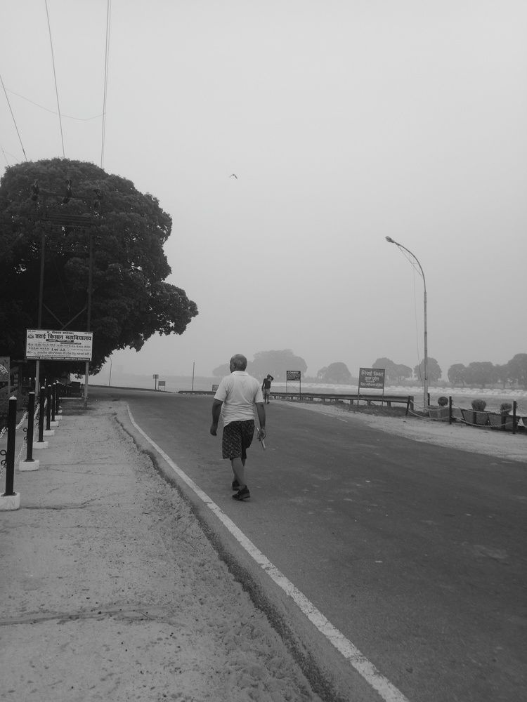 Photo #11428650