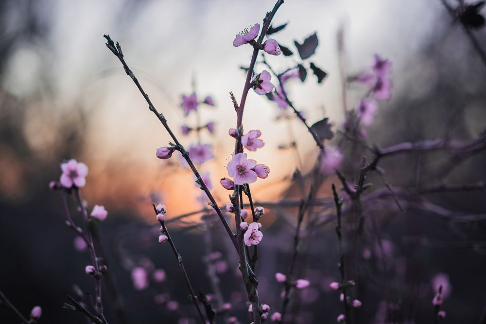 Photograph by Филипп Бабенко