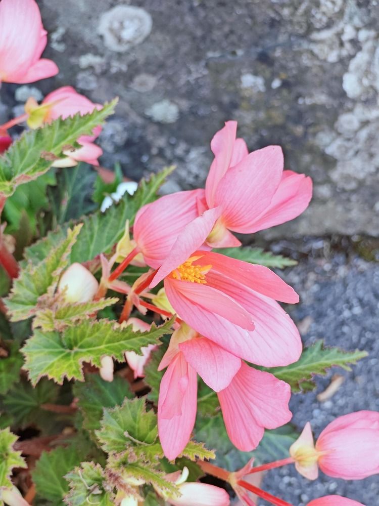 Photograph by Sonal G. Vora