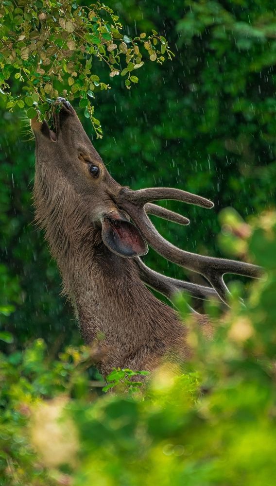 Photograph by Arnold Judson Samuel