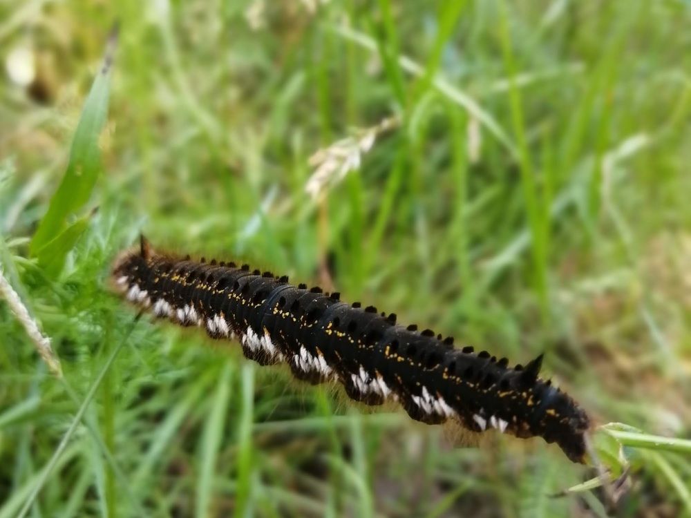 Photograph by Татьяна Ненюхина