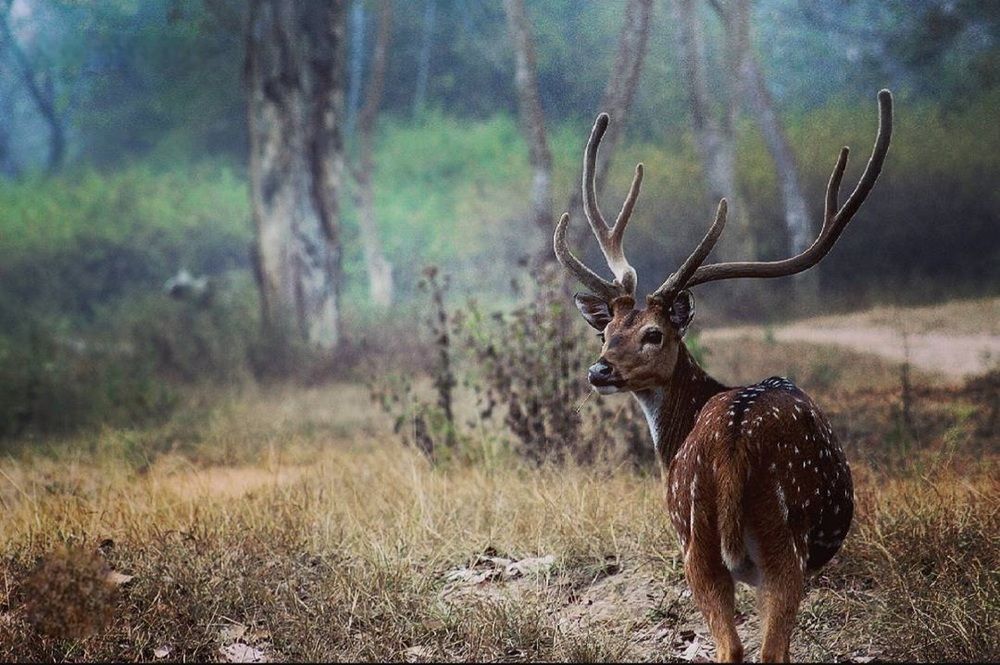 Фотография автора Amesh Chinnasamy