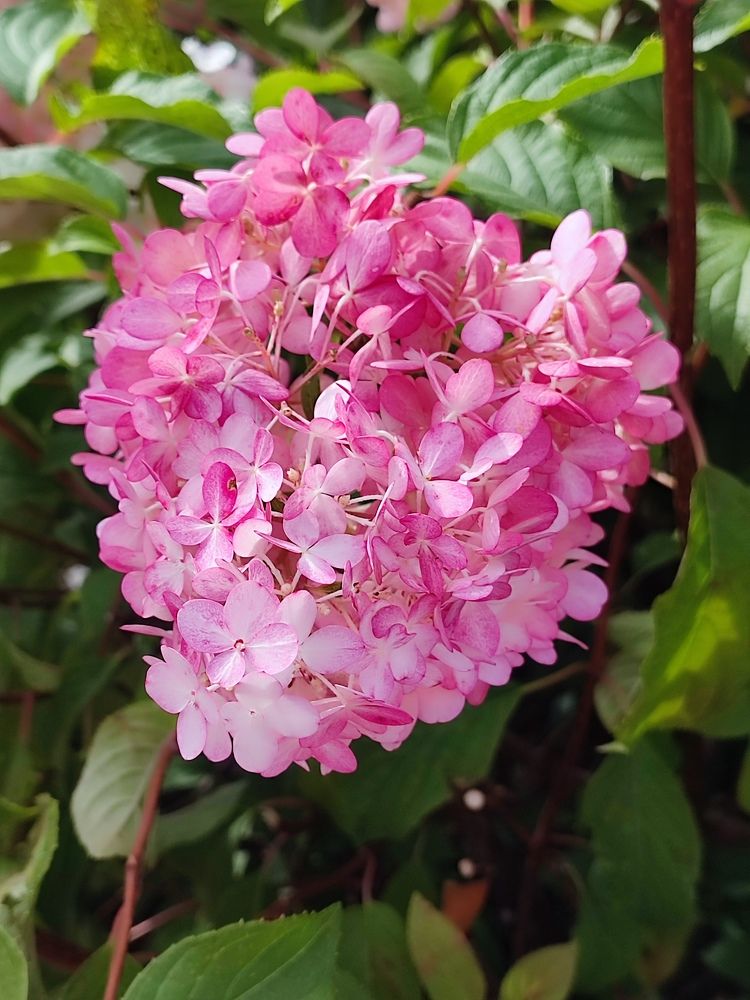 Photograph by Светлана Батурова