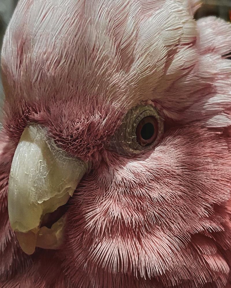 Photograph by Waleed Yousuf Alwahaibi