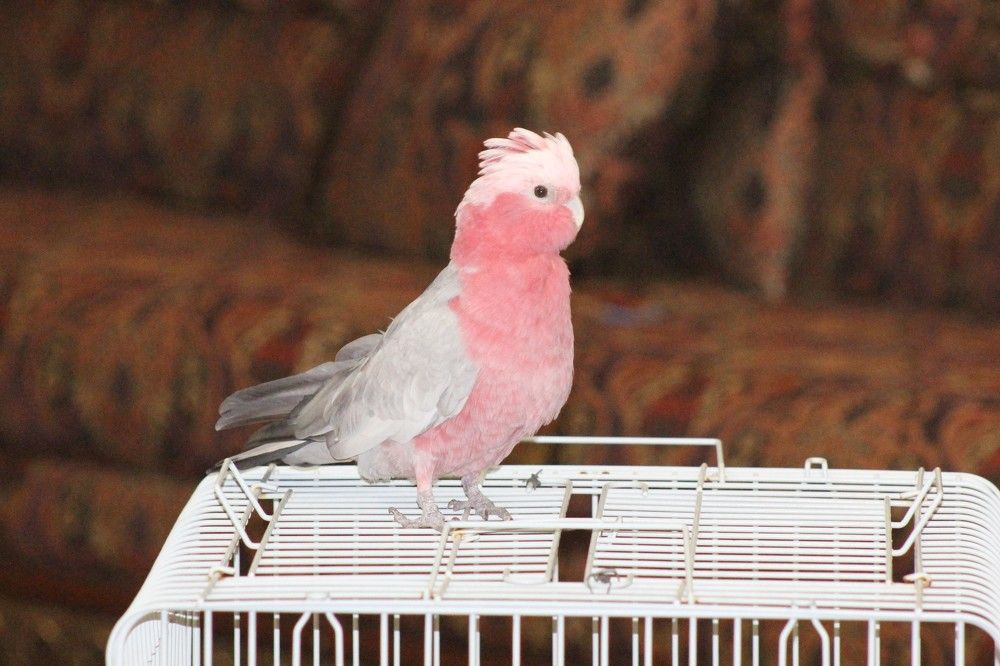 Photograph by Waleed Yousuf Alwahaibi