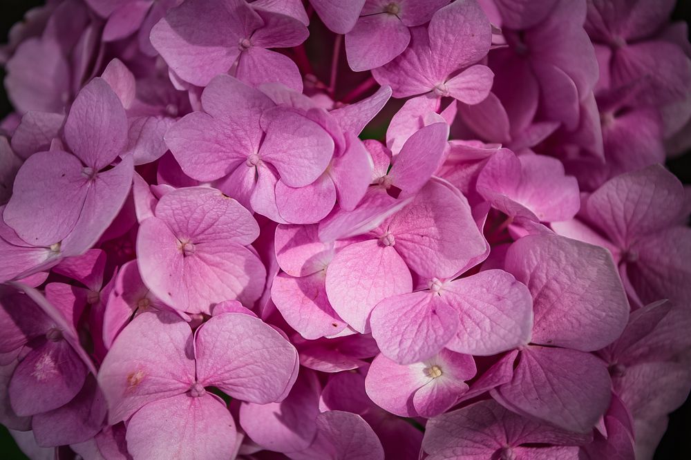 Photograph by Филипп Бабенко