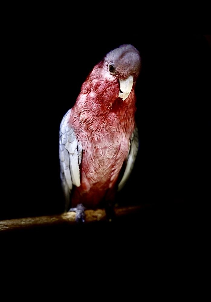 Photograph by Waleed Yousuf Alwahaibi