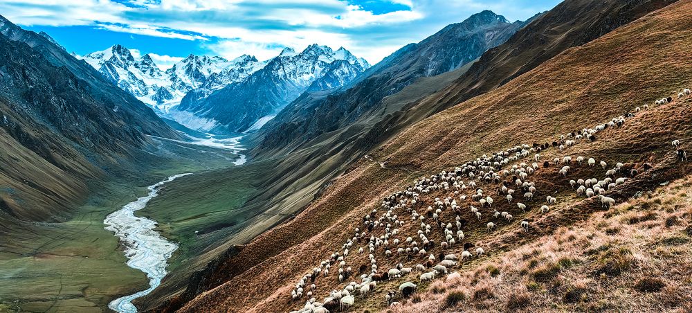 Фотография автора Ахмат Байсиев