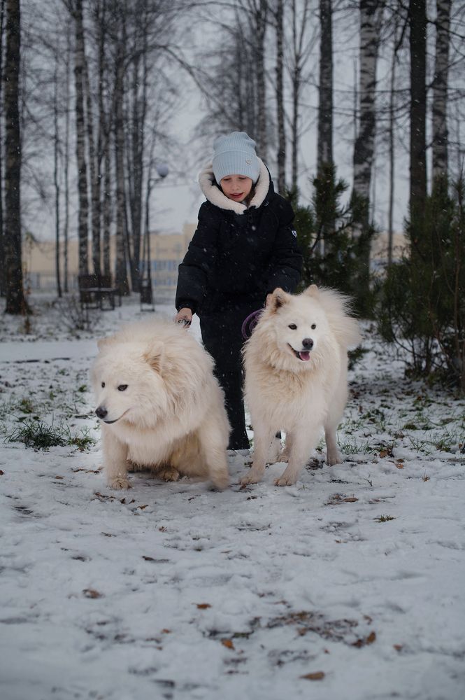 Photograph by Ольга Ельчанинова