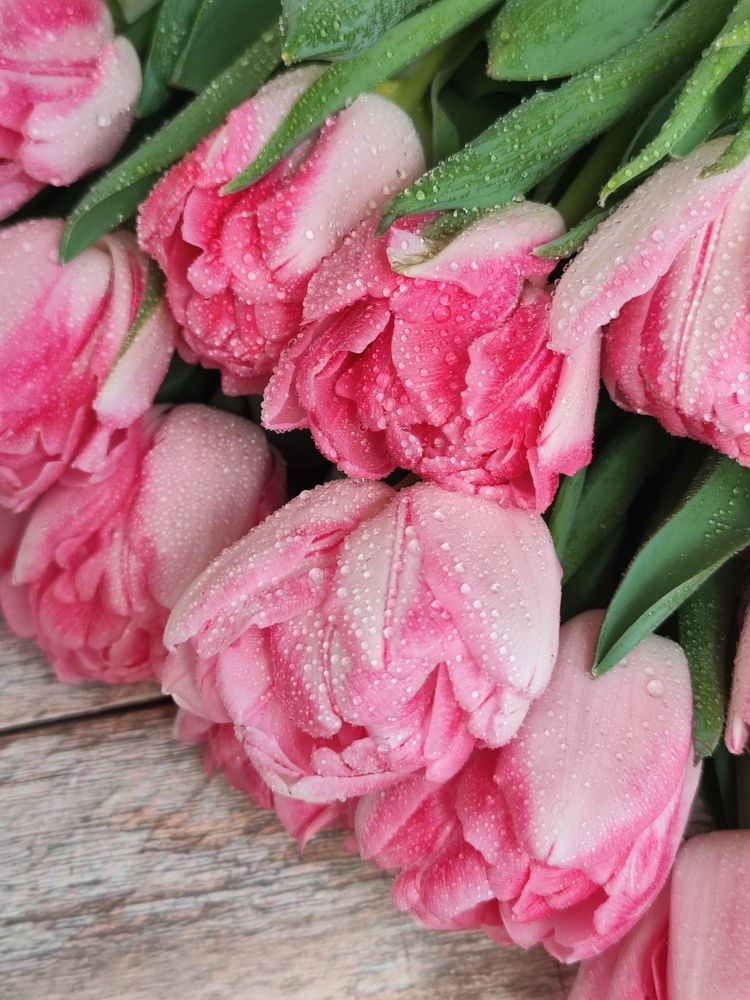 Photograph by Александра Шилова