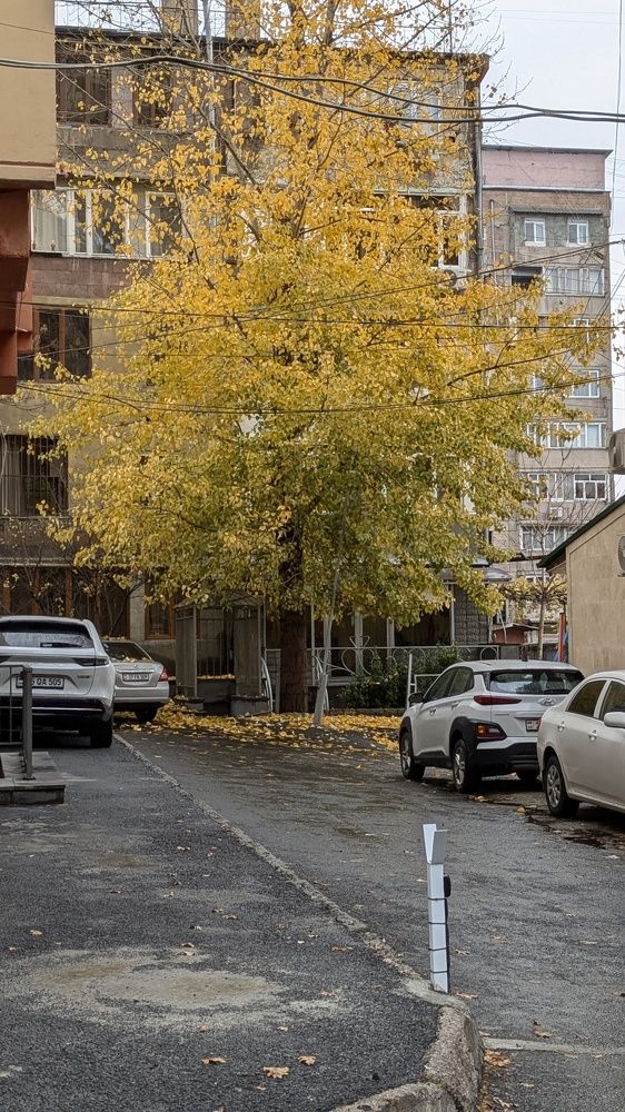 Photograph by Lilit Petrosyan