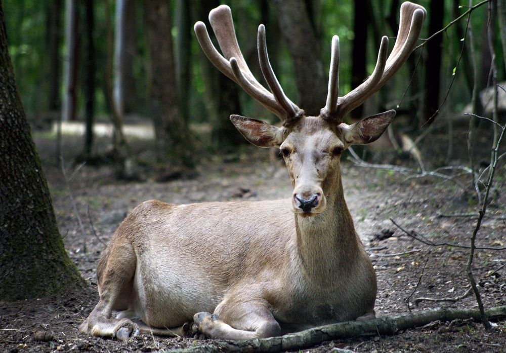 Photograph by Bekir Yesiltas