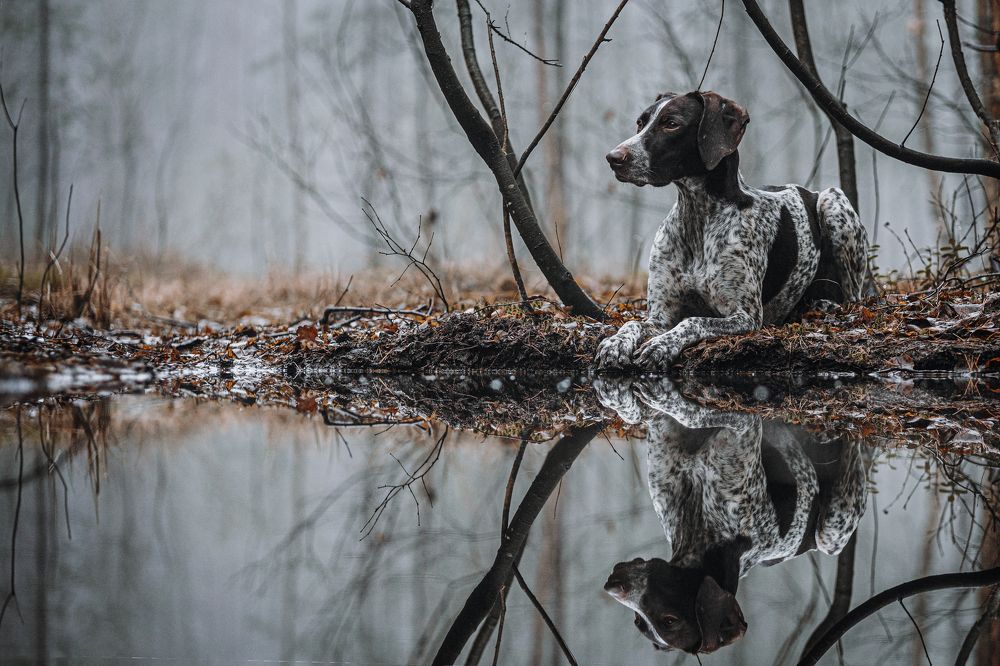 Фотография автора Ritus20018