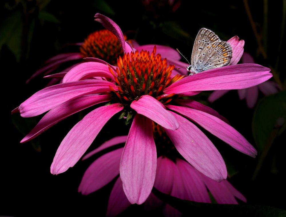 Photograph by Bekir Yesiltas