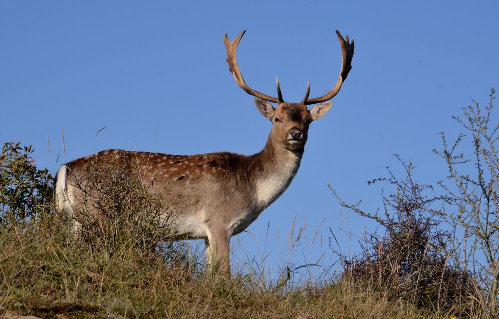 Photograph by ruurd visser