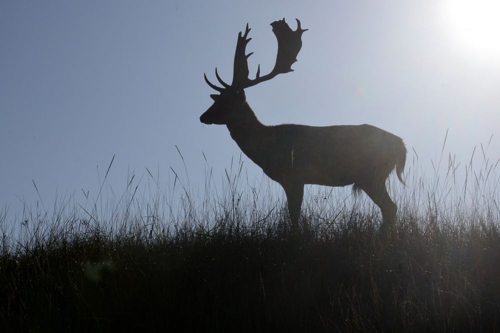 Photograph by ruurd visser