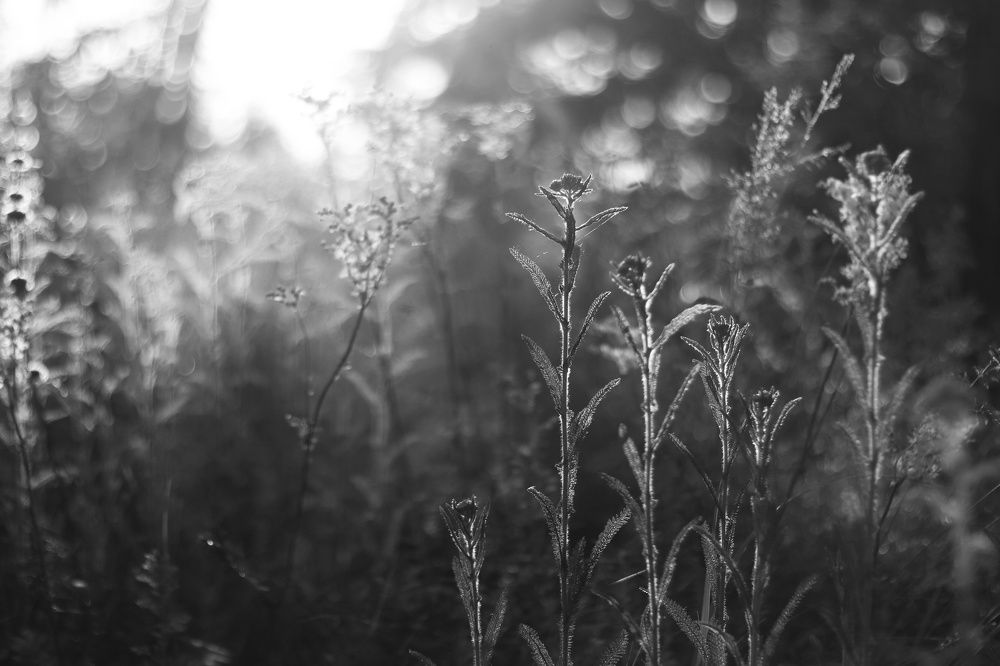 Photograph by Марина Савченко