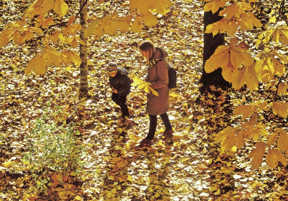 Photograph by Елена Жукова