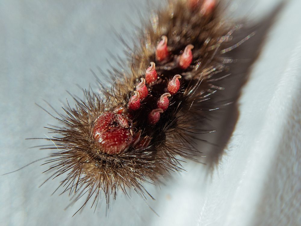 Photograph by Виталий Шкадинов