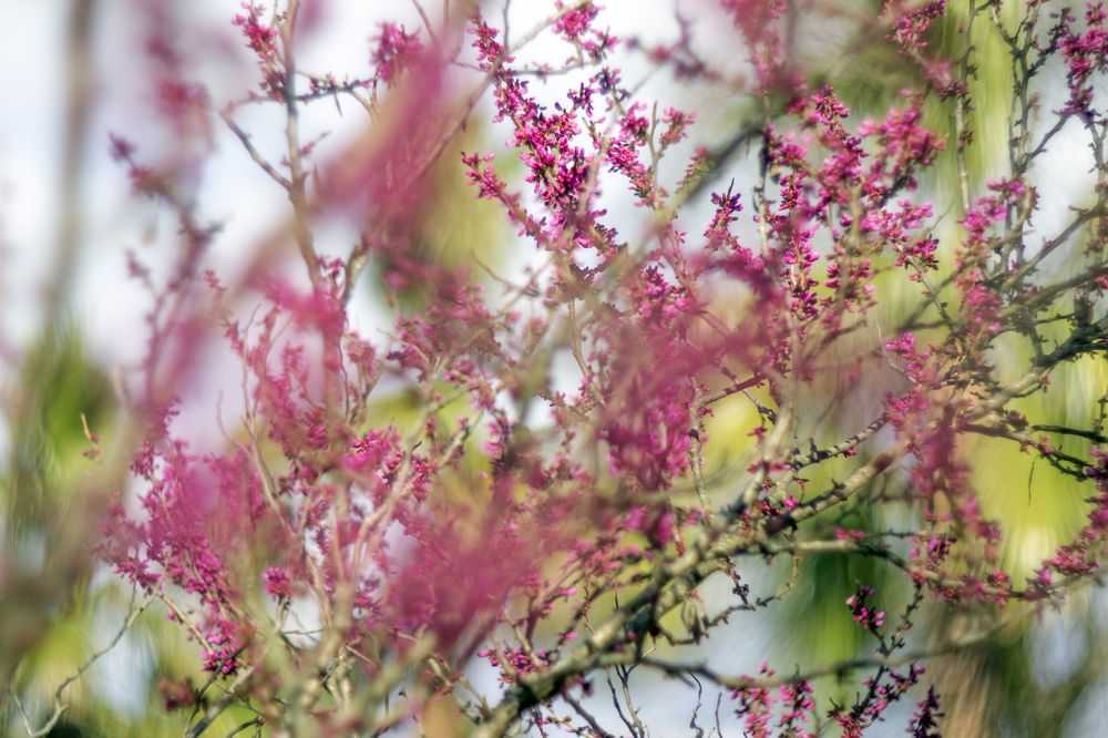 Photograph by Анастасия Северюхина