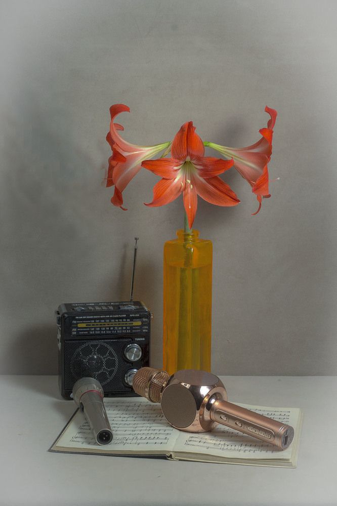 Photograph by Людмила Павловна