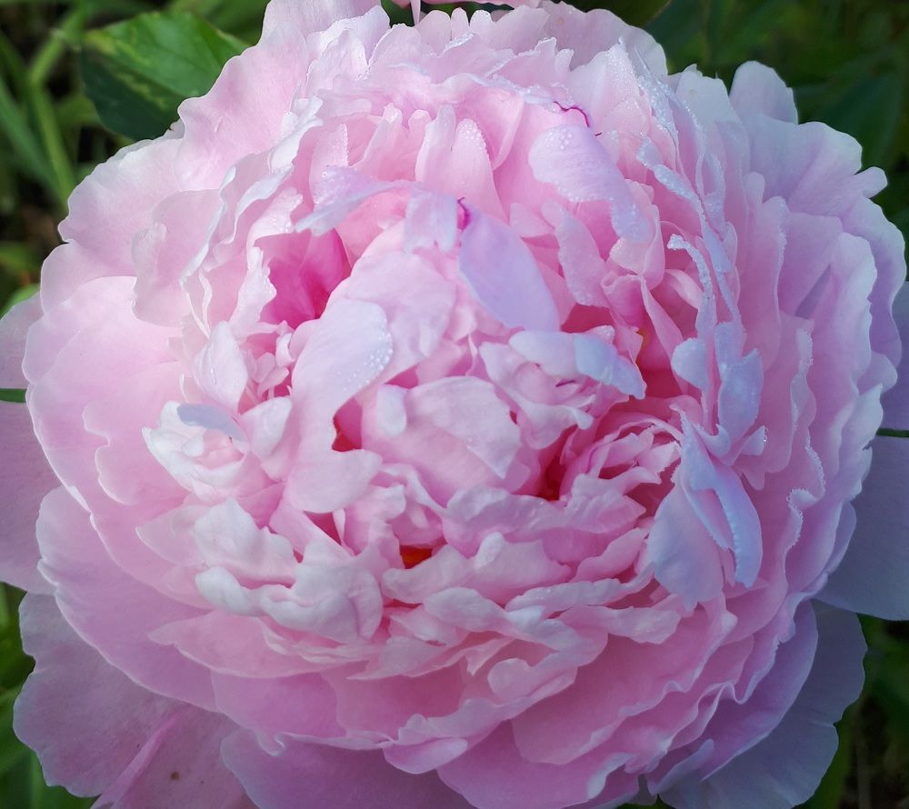 Photograph by Виктория Образцова